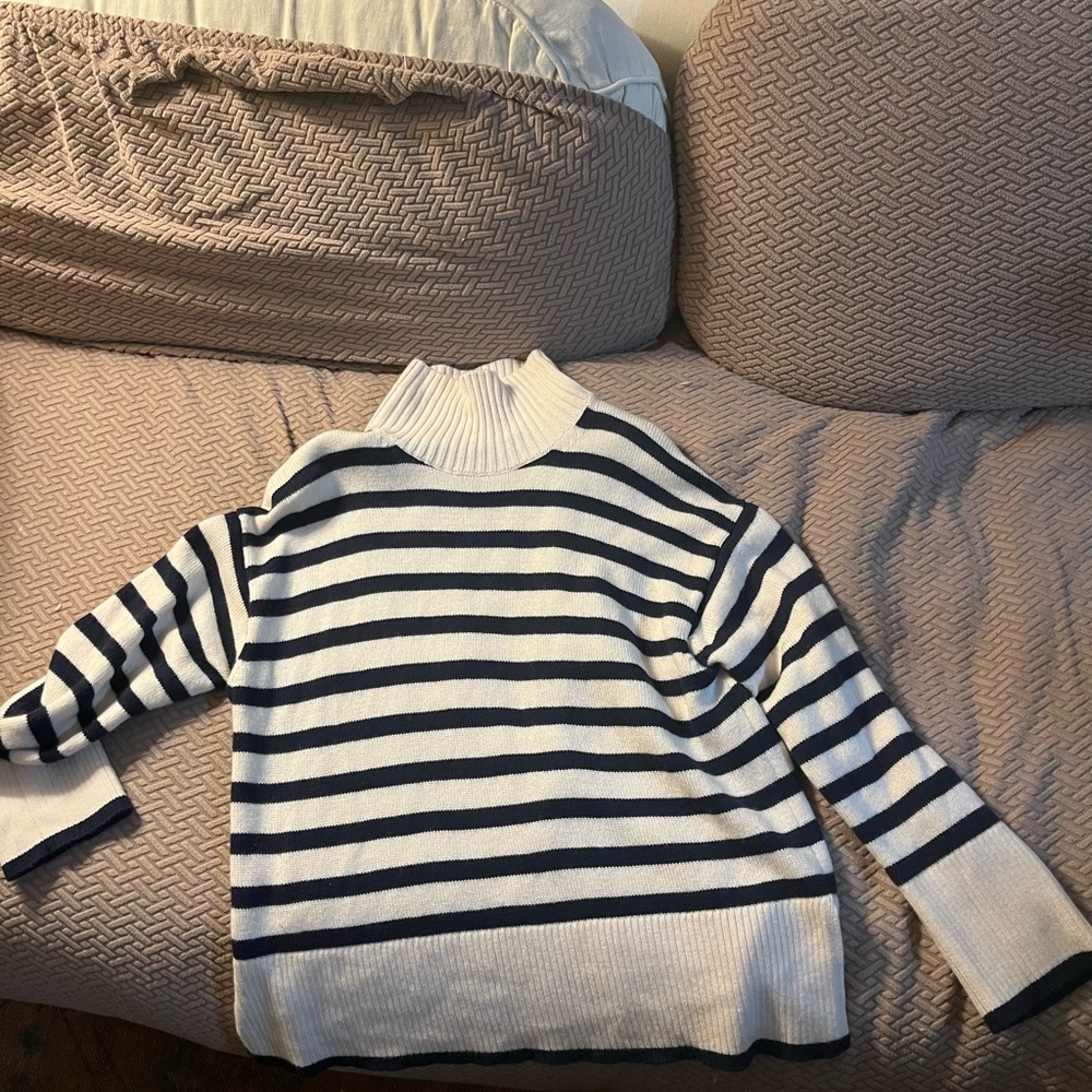 Aritzia Babaton Weekday Turtleneck in Cream and Navy